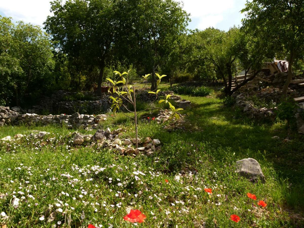 Apartments Lavanda & Divona Šibenik Dış mekan fotoğraf